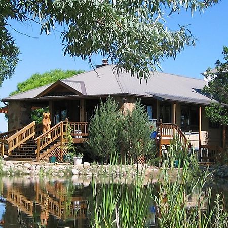 Starry Nights Ranch Bed & Breakfast Mancos Exteriör bild
