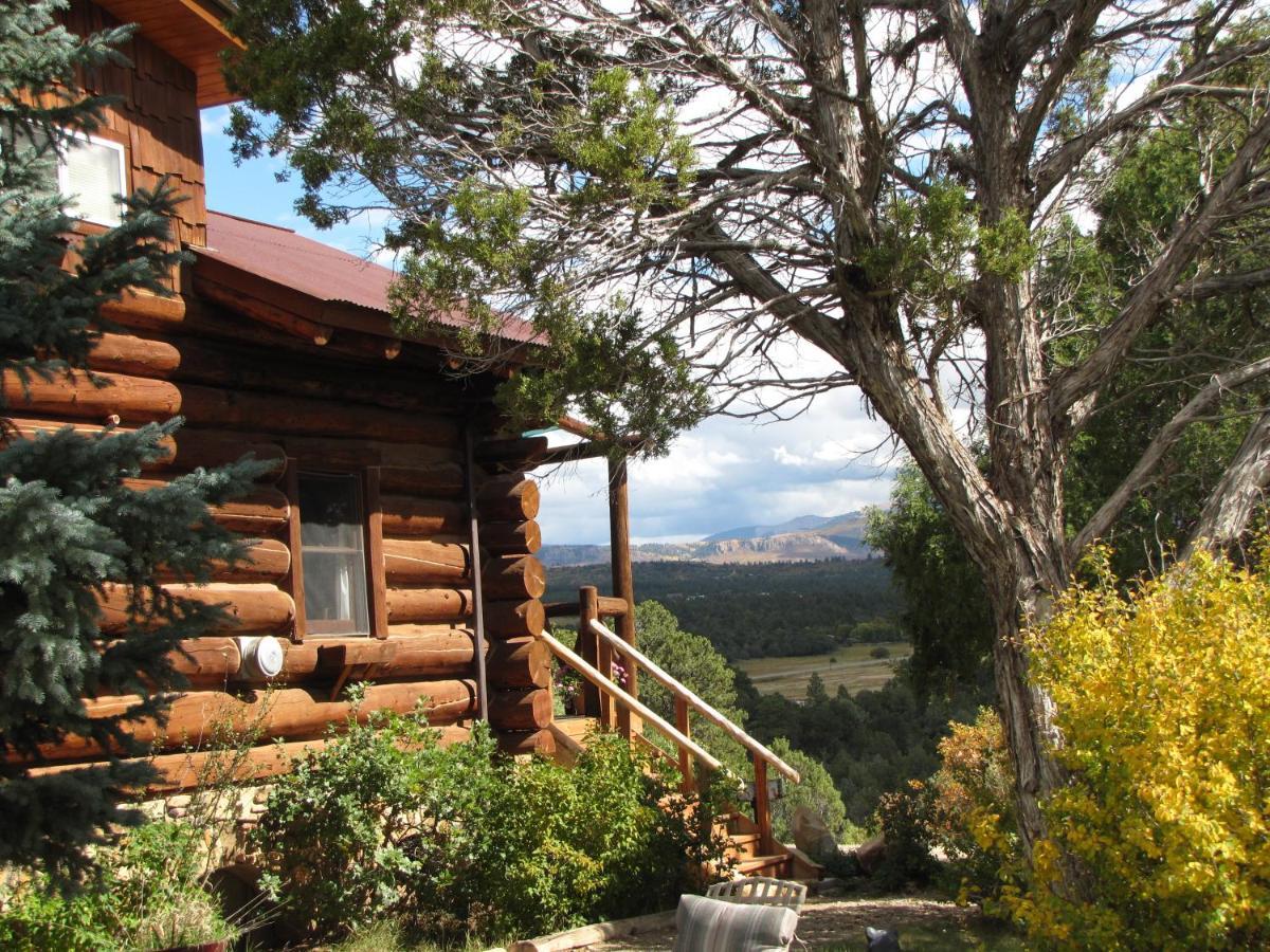 Starry Nights Ranch Bed & Breakfast Mancos Exteriör bild