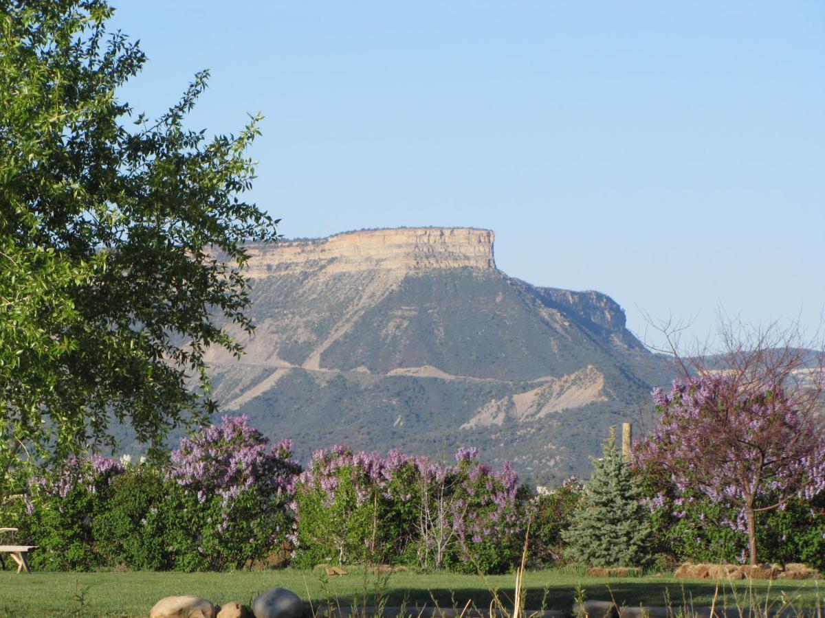 Starry Nights Ranch Bed & Breakfast Mancos Exteriör bild